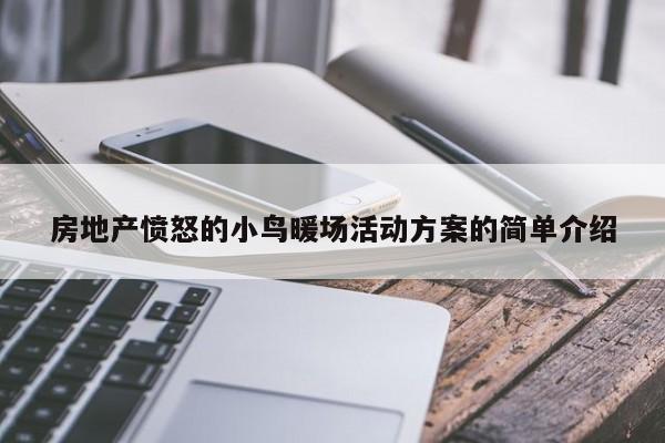 房地產(chǎn)憤怒的小鳥暖場活動方案的簡單介紹